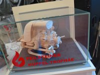 DSC 0037