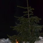 DSC_0058 (1656x2500)
