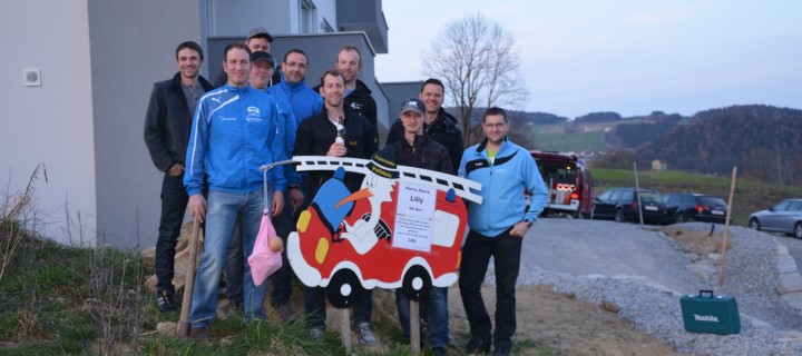 2. Storchlandung in diesem Jahr