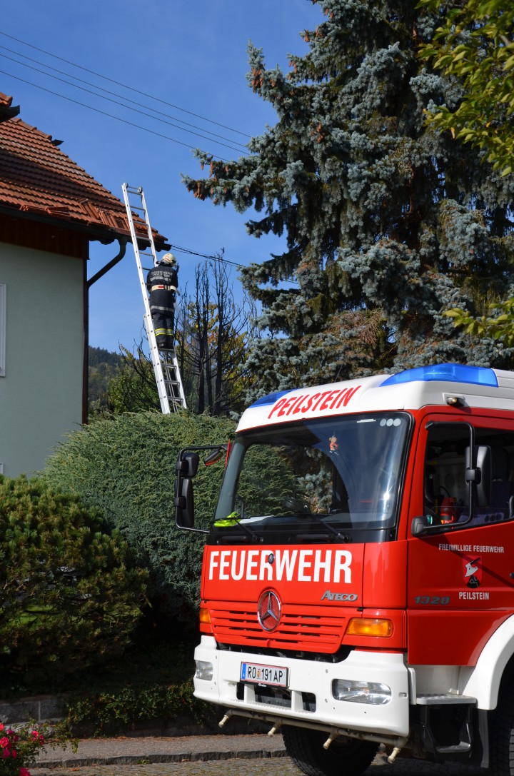 Brand Baum in Siedlung