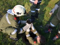Tierrettung bei Fa. Hellauer