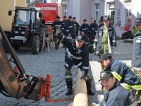 Maibaum-Aufstellen 2017