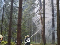 In Steinberg brennt Baum nach Gewitter