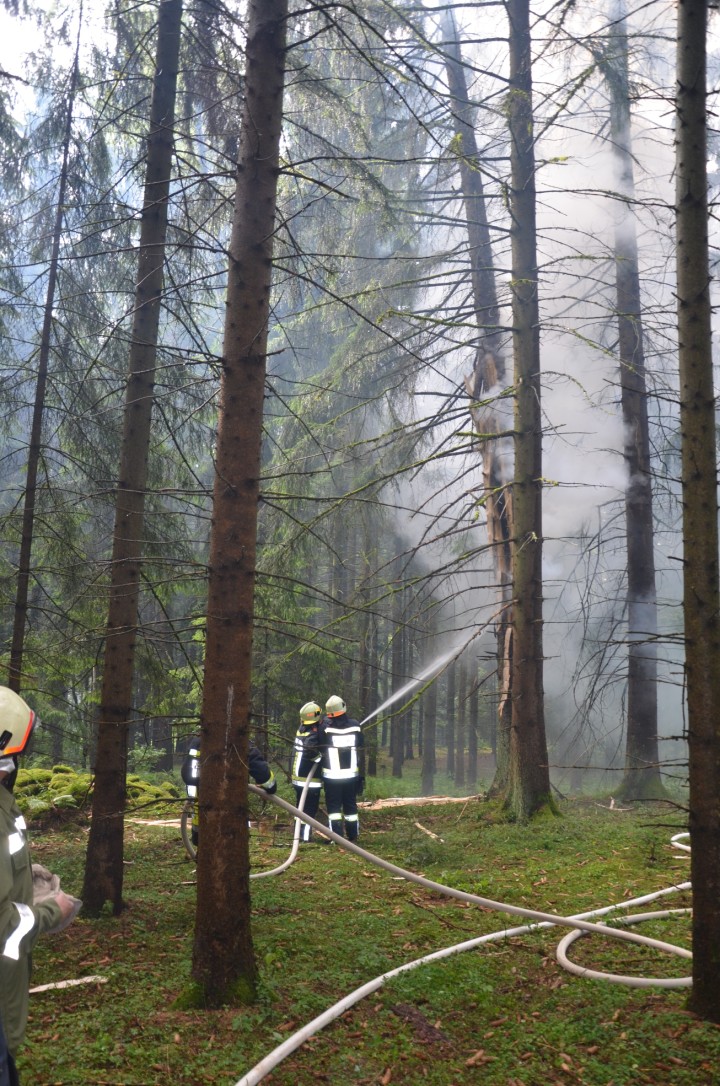 In Steinberg brennt Baum nach Gewitter
