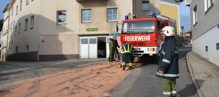 Ölspur durch defekte Servolenkungspumpe