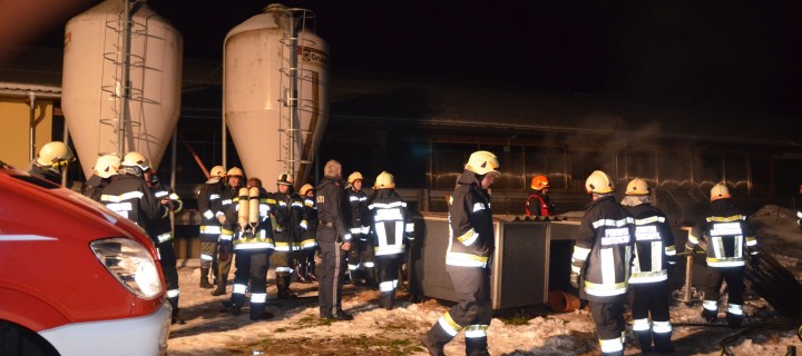 Brand einer Kälberbox