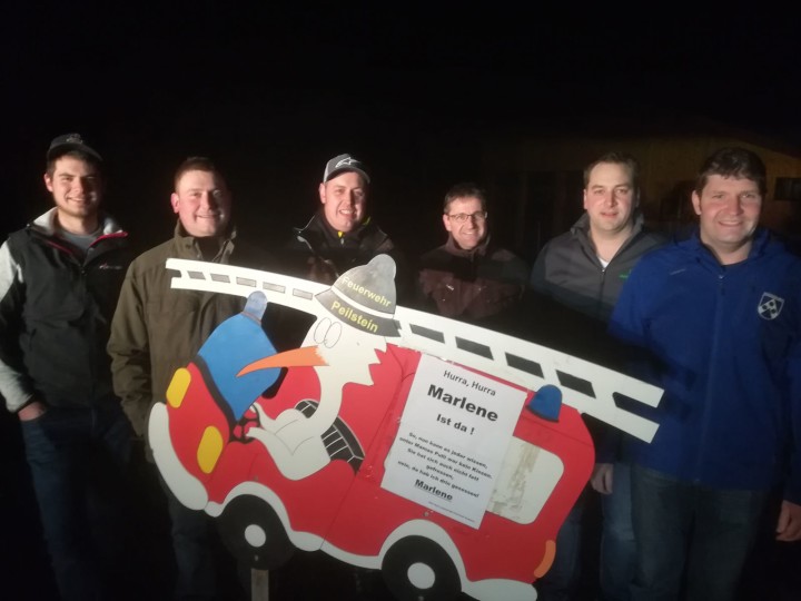 Feuerwehrstorch in Schönberg gelandet