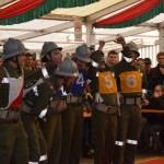 Kuppelcup (10)