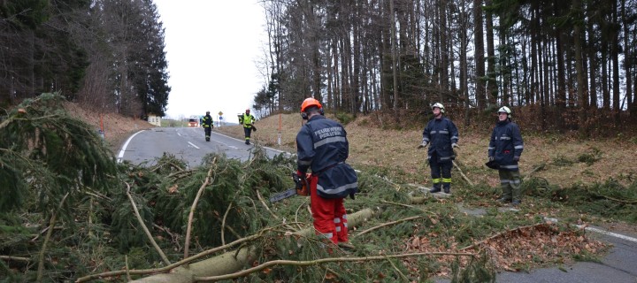 Einsätze durch Sturmtief „Sabine“