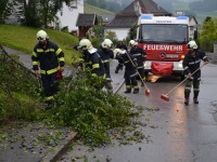 „Bäumchen“ über Straße in Peilstein