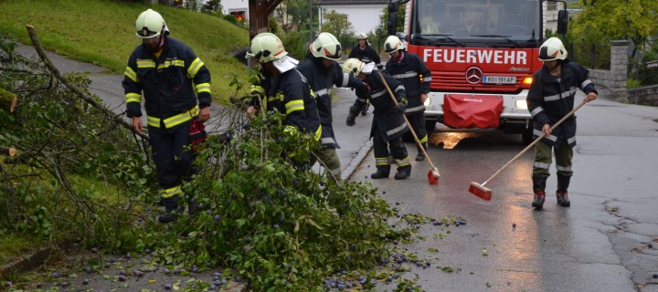 „Bäumchen“ über Straße in Peilstein