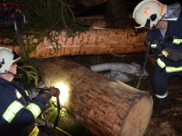 Forstunfall bei Monatsübung simuliert