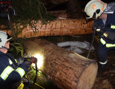 Forstunfall bei Monatsübung simuliert