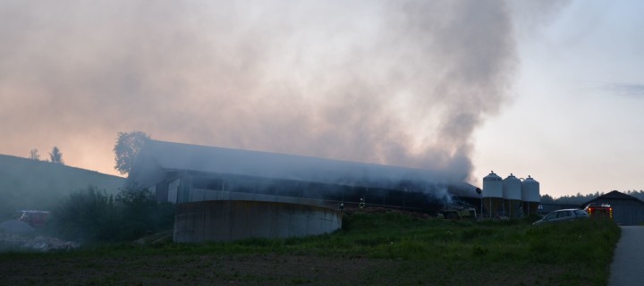 landwirtschaftliches Gebäude in Weixelbaum in Brand