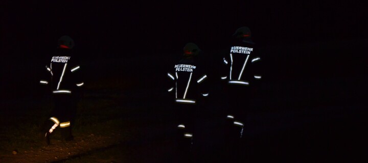 Einsatz am späten Abend wegen „Wespen“