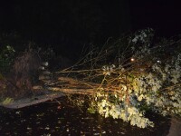 Sturmtief streift Peilstein