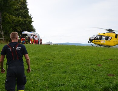 verletzter Radfahrer aus Waldstück geborgen