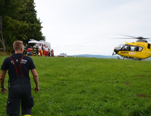 verletzter Radfahrer aus Waldstück geborgen